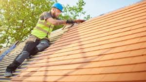Best Roof Moss and Algae Removal  in Rush City, MN