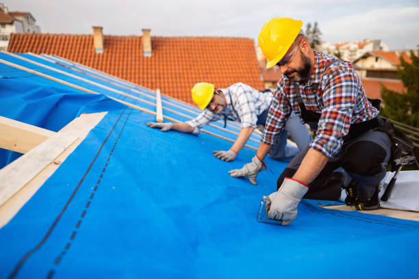 Best 4 Ply Roofing  in Rush City, MN