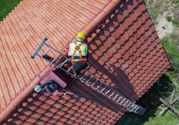Best Roof Insulation Installation  in Rush City, MN