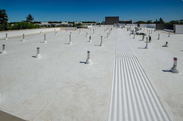 Best Gutter Installation and Repair  in Rush City, MN